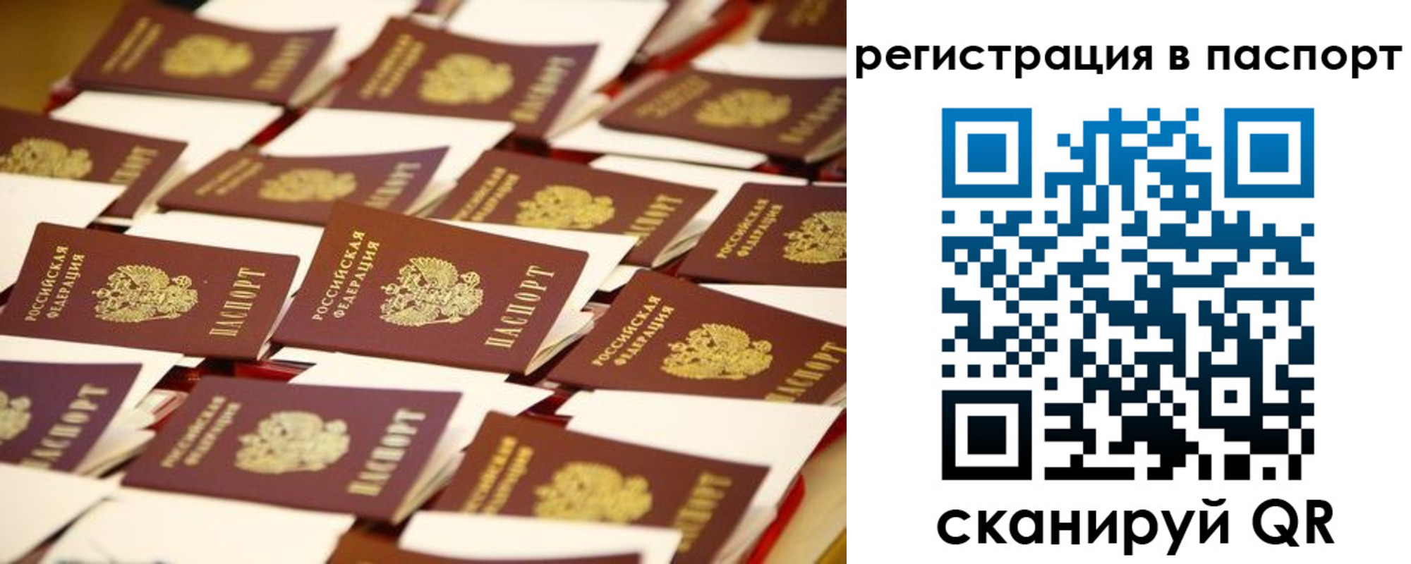 прописка гарантия в Суздали